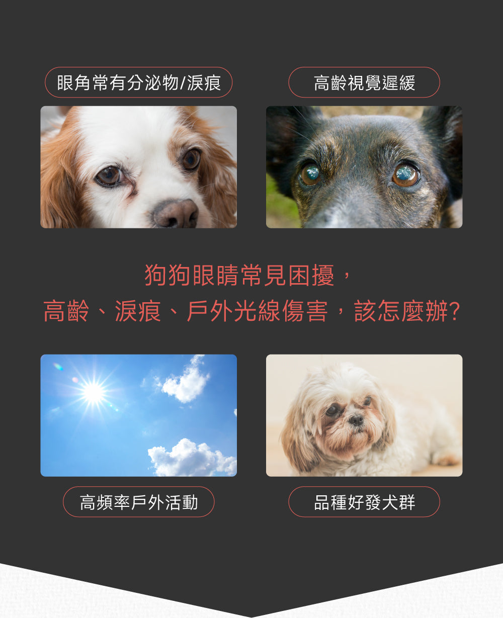 狗狗護眼亮晶晶配方｜Eye+ Care