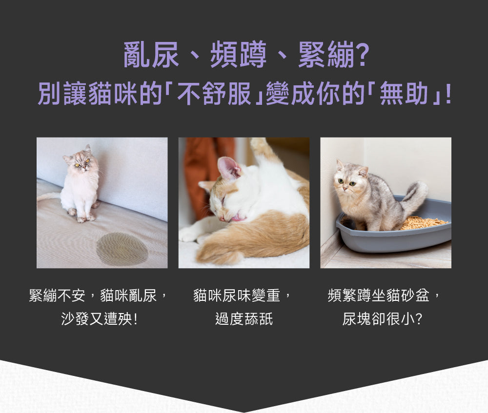 (7天體驗包) 貓咪泌尿道守護配方｜Urinary+ Care