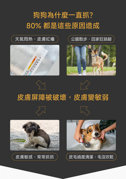 狗狗皮膚毛髮修護配方｜Hair & Coat+ Care