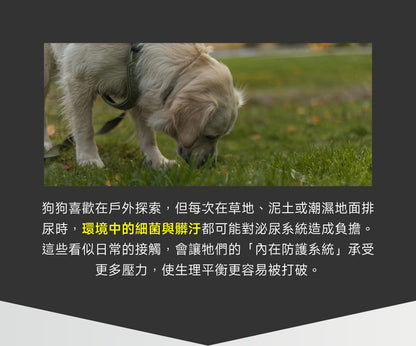 狗狗泌尿保健配方｜Urinary+ Care