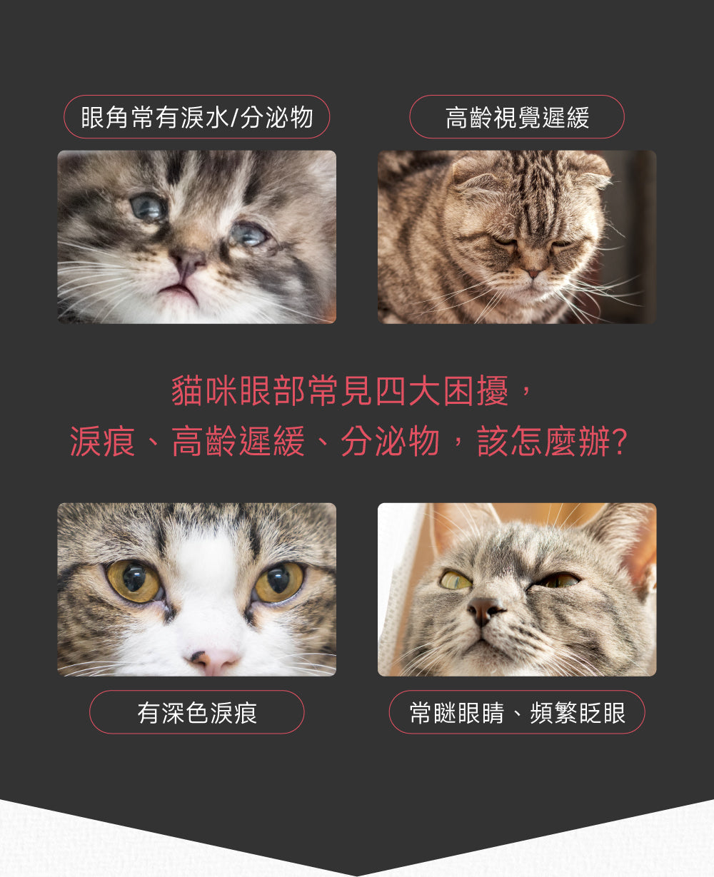 (7天體驗包) 貓咪護眼亮晶晶配方｜Eye+ Care