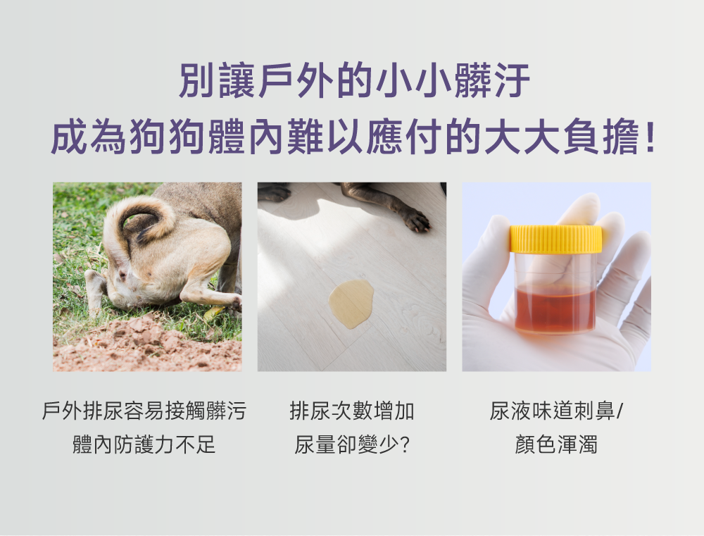 狗狗泌尿保健配方｜Urinary+ Care