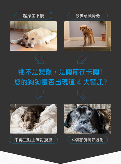 狗狗關節保養配方｜Joint+ CARE