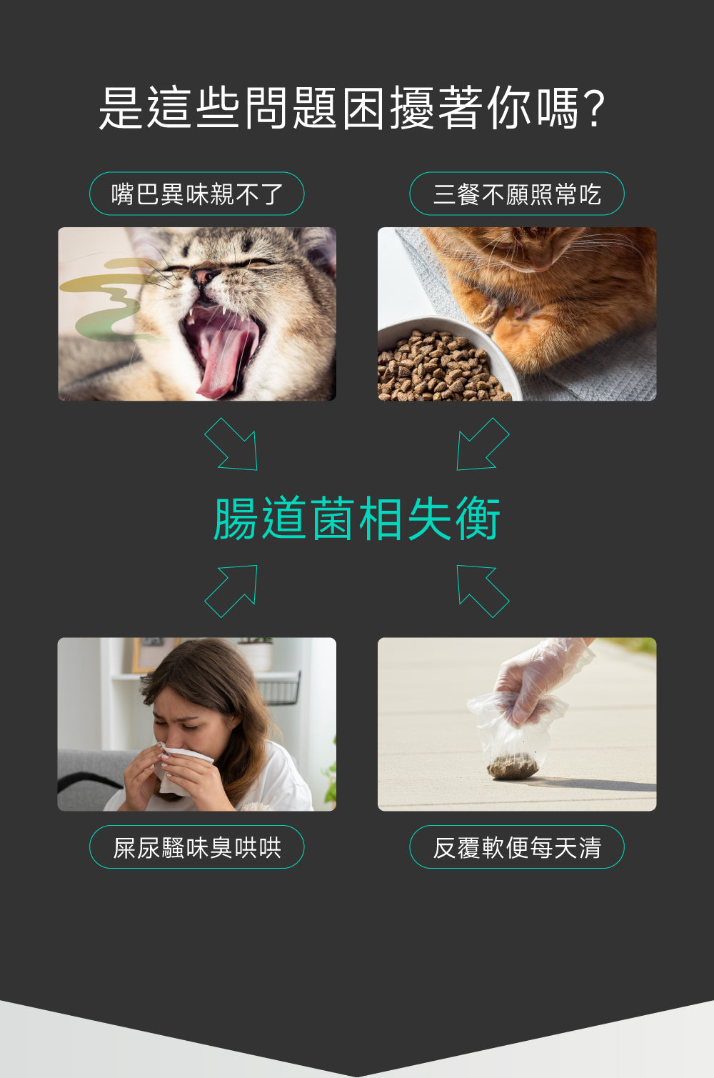 貓咪腸道口腔益生配方｜Digestive+ Care