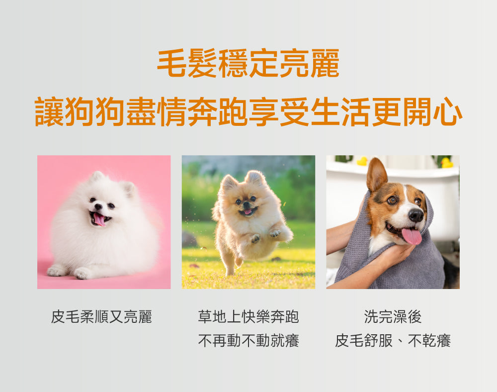 狗狗皮膚毛髮修護配方｜Hair & Coat+ Care