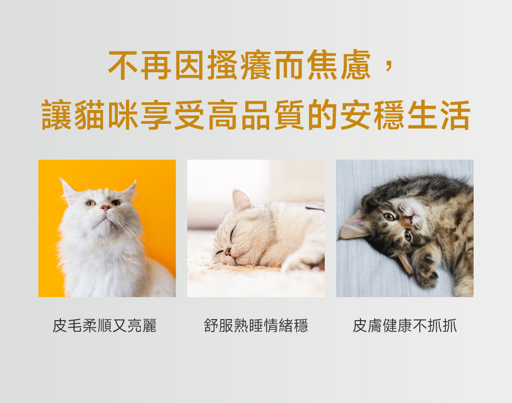 貓咪皮膚健康配方｜Hair & Coat+ Care
