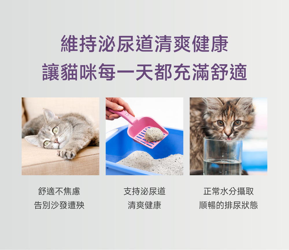 (7天體驗包) 貓咪泌尿道守護配方｜Urinary+ Care