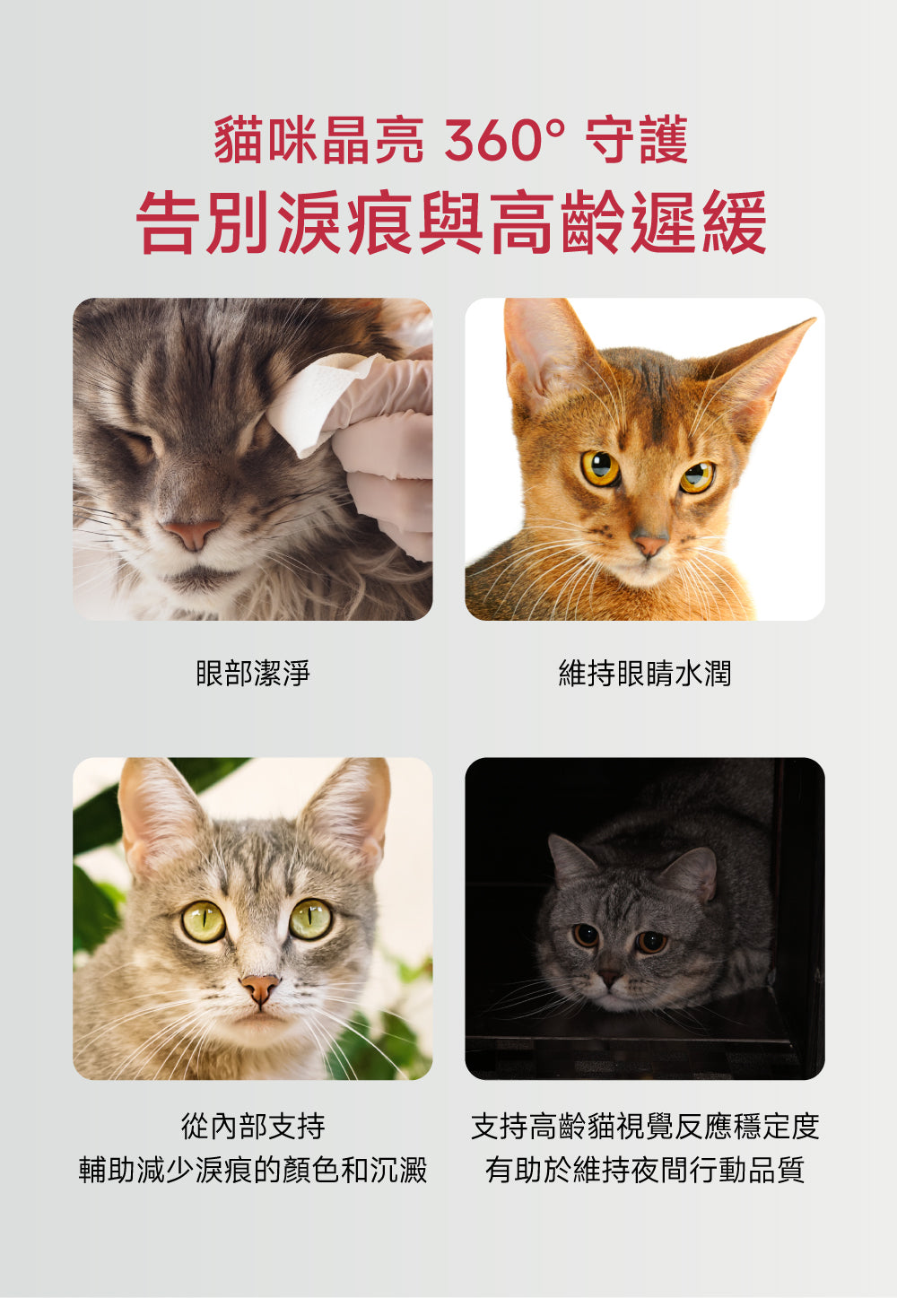 (7天體驗包) 貓咪護眼亮晶晶配方｜Eye+ Care