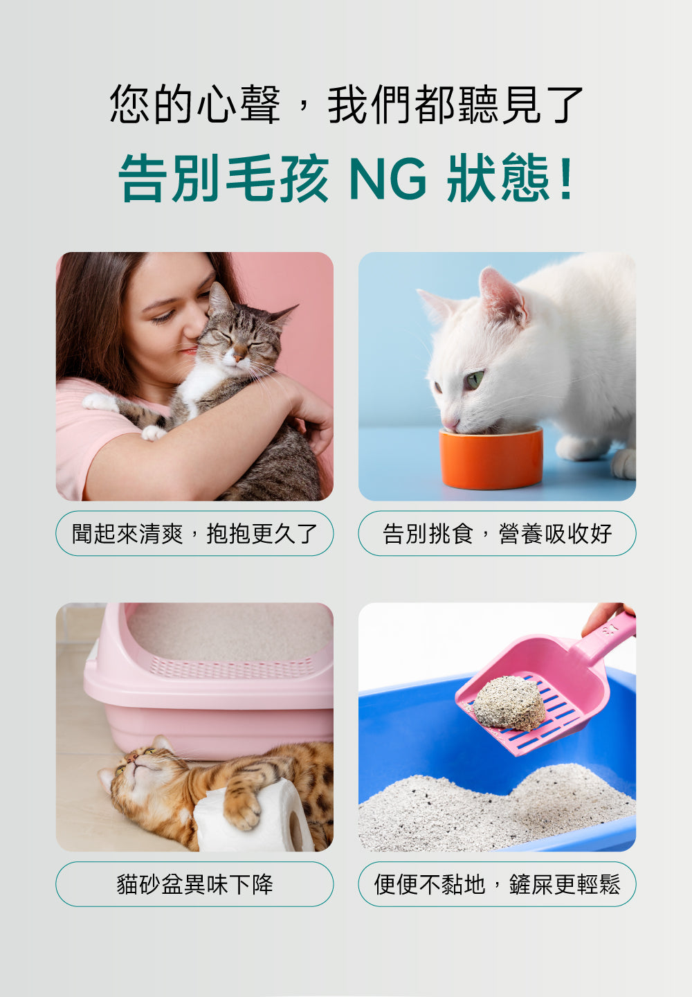 貓咪腸道口腔益生配方｜Digestive+ Care