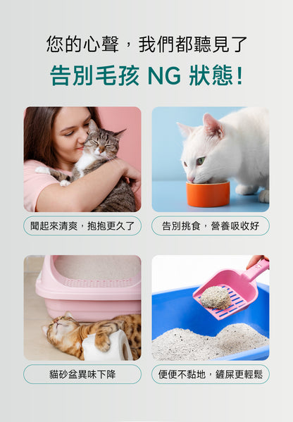 貓咪腸道口腔益生配方｜Digestive+ Care