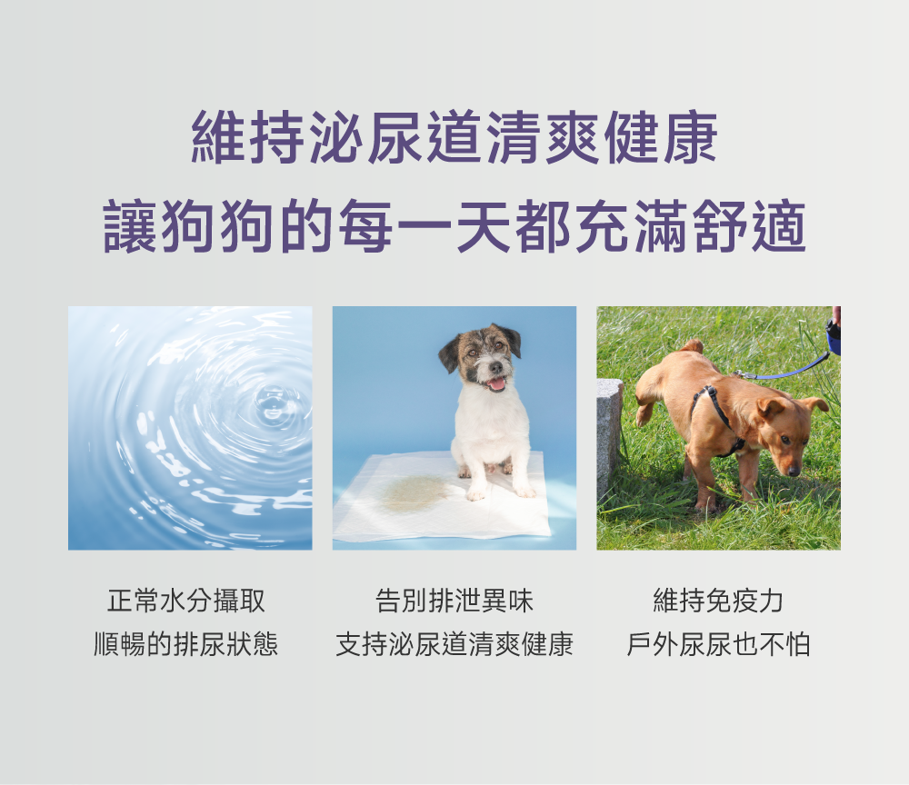 狗狗泌尿保健配方｜Urinary+ Care