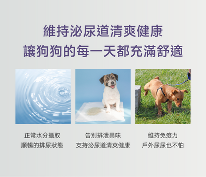 狗狗泌尿保健配方｜Urinary+ Care