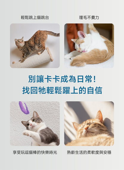貓咪關節靈活配方｜Joint+ Care