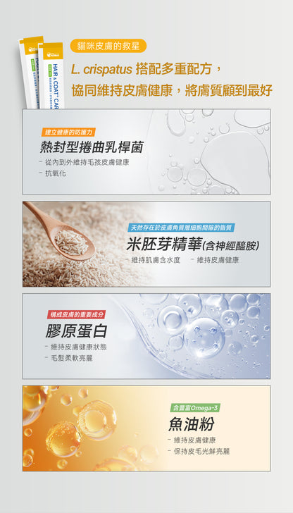 貓咪皮膚健康配方｜Hair & Coat+ Care