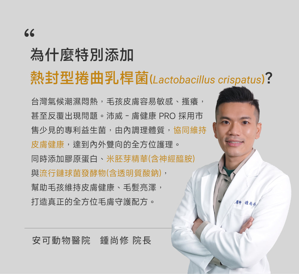 貓咪皮膚健康配方｜Hair & Coat+ Care