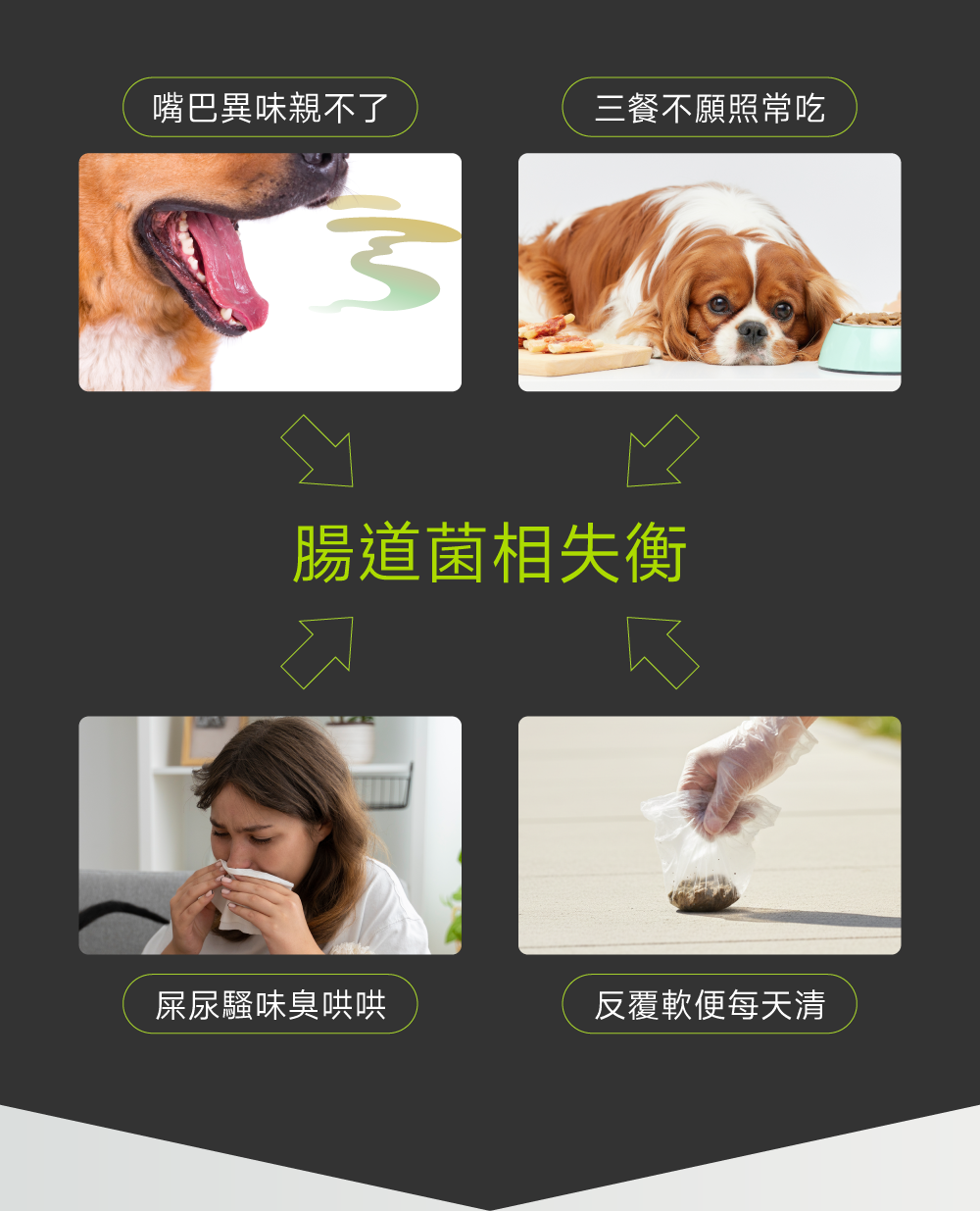 狗狗腸道口腔益生配方｜Digestive+ Care